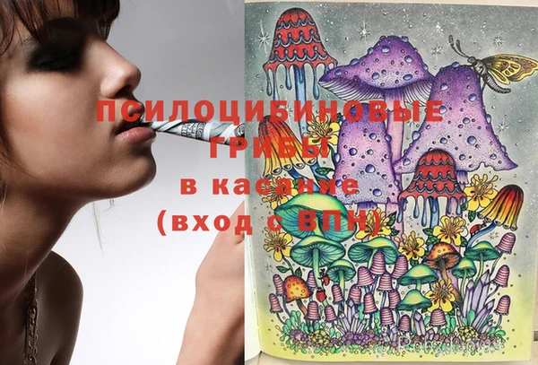 амф Козловка