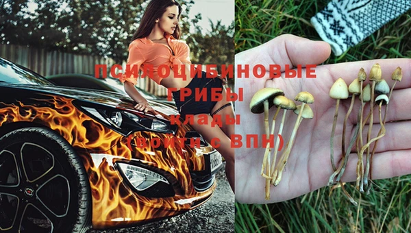 спайс Коряжма
