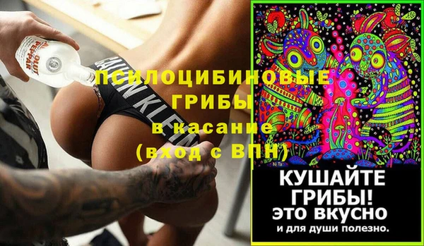 амф Козловка