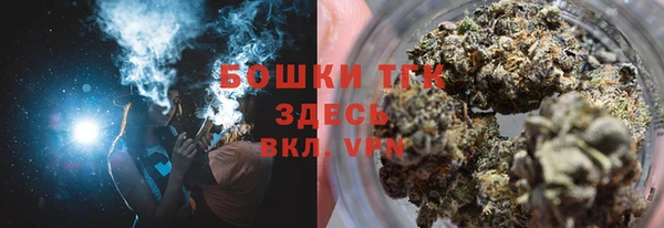 амф Козловка