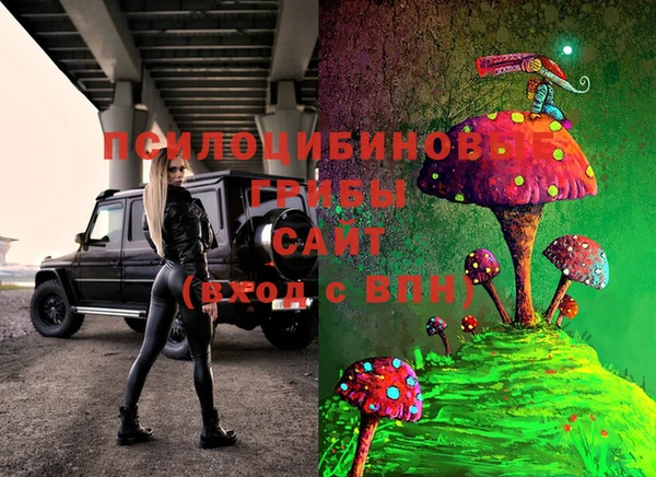 тгк Костерёво