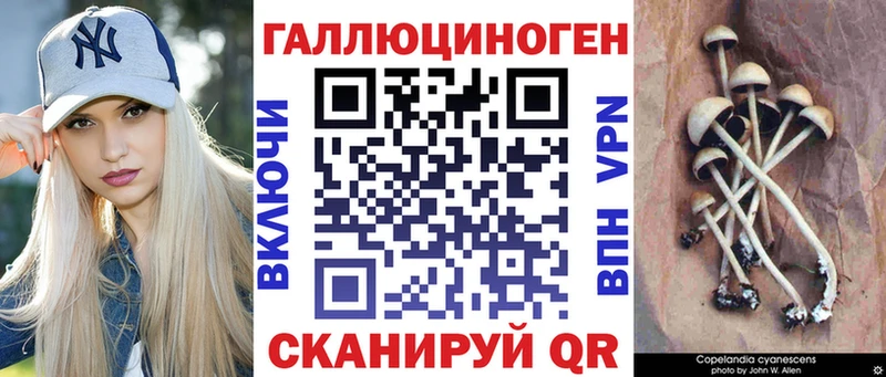 Псилоцибиновые грибы Psilocybine cubensis  KRAKEN как войти  Кохма 