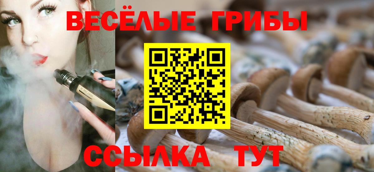 Кохма  Псилоцибиновые грибы GOLDEN TEACHER  Вход с VPN  Псилоцибиновые грибы ЛСД 